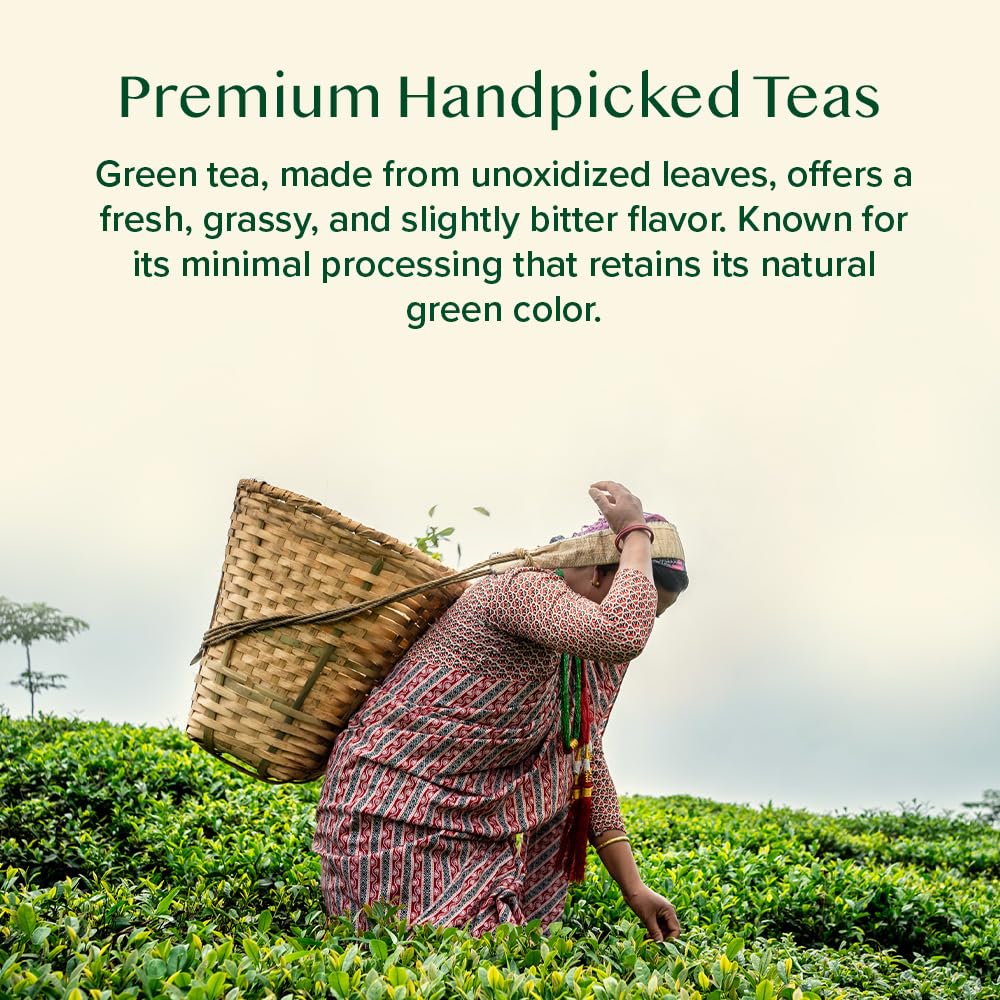 VAHDAM, Assorted Green Tea Loose Leaf Tea Gift Set (10 Flavors) Gift Ideas for Women & Men | Exotic Himalayan Green Tea Blends | Resealable Ziplock Pouch | Gifts for Him/Her