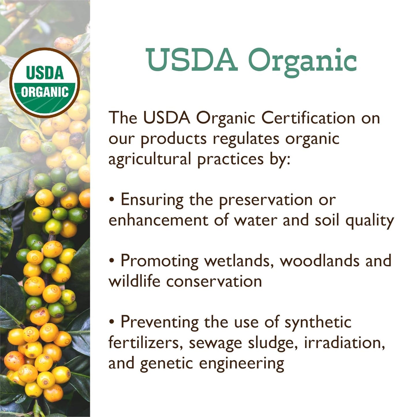 Fresh Roasted Coffee, Organic Donut Shop | USDA Organic, Kosher | Medium Roast 2 lb (32 oz) Ground