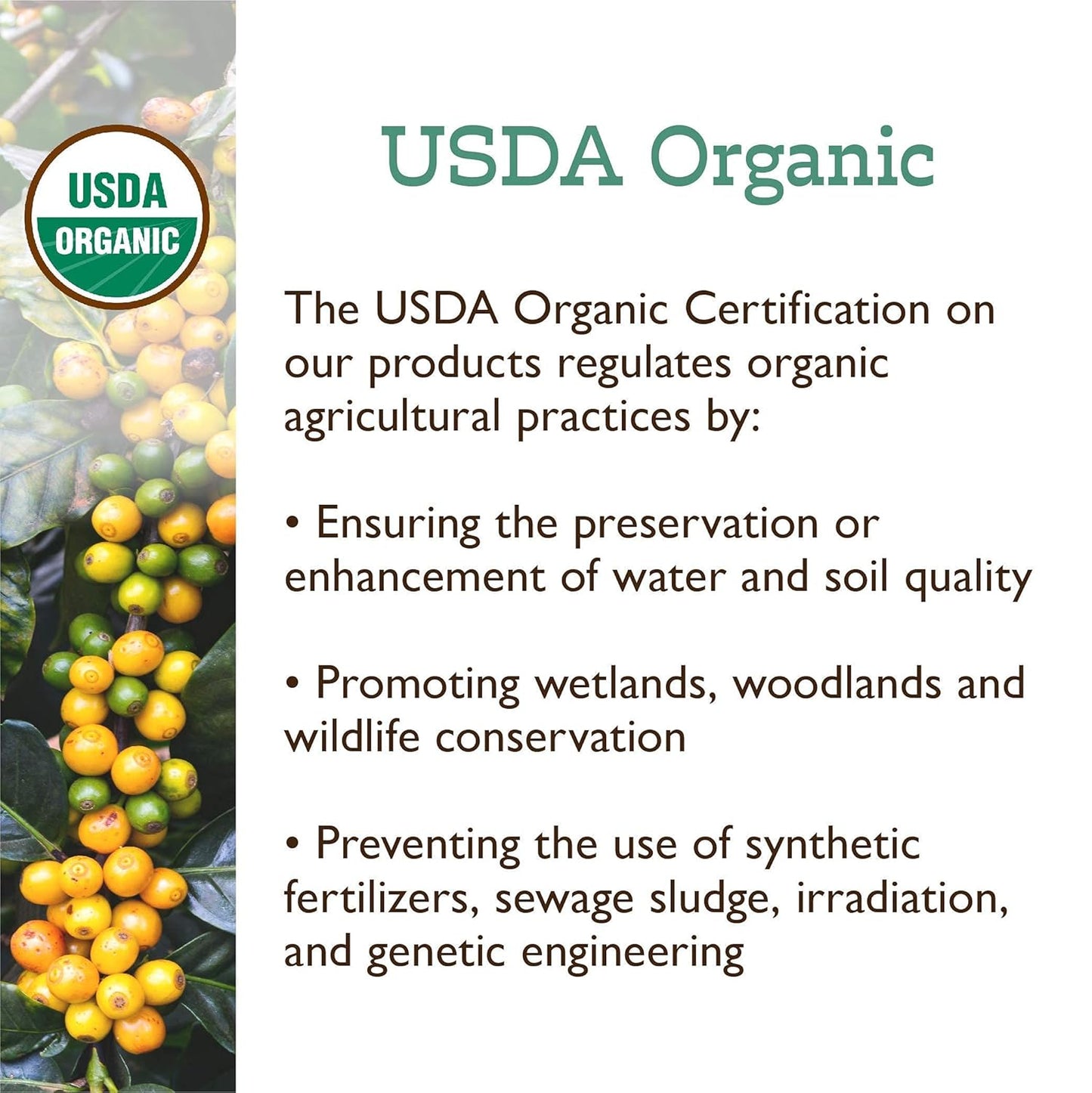 Fresh Roasted Coffee, Organic Honduran Marcala | USDA Organic, 100% Single Origin, Kosher | Medium Roast 5 lb (80 oz) Ground