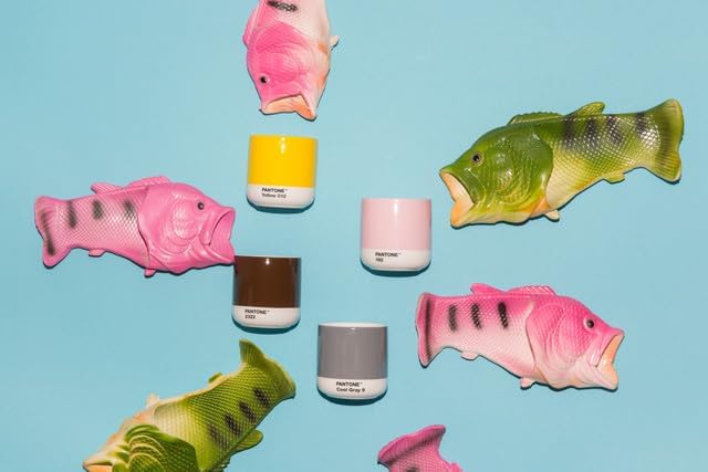 Copenhagen Design Pantone Latte Cup - Double Wall Thermo - Cappuccino Handleless Mug - 7.44oz/220ml, Warm Grey 2