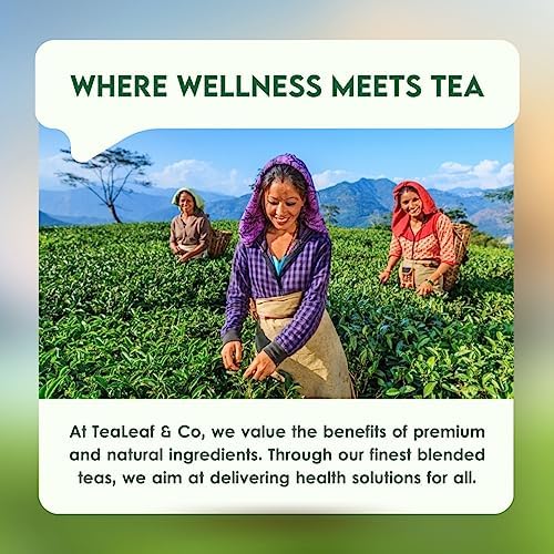 Tealeaf & Co. Turmeric Tulsi Holy Basil Green Tea - Turmeric, Tulsi & Peppermint Tea Blended with Fresh Herbs & Spices - Low Caffeine & Vegan - 100 Teabags (7.055oz/200gm)