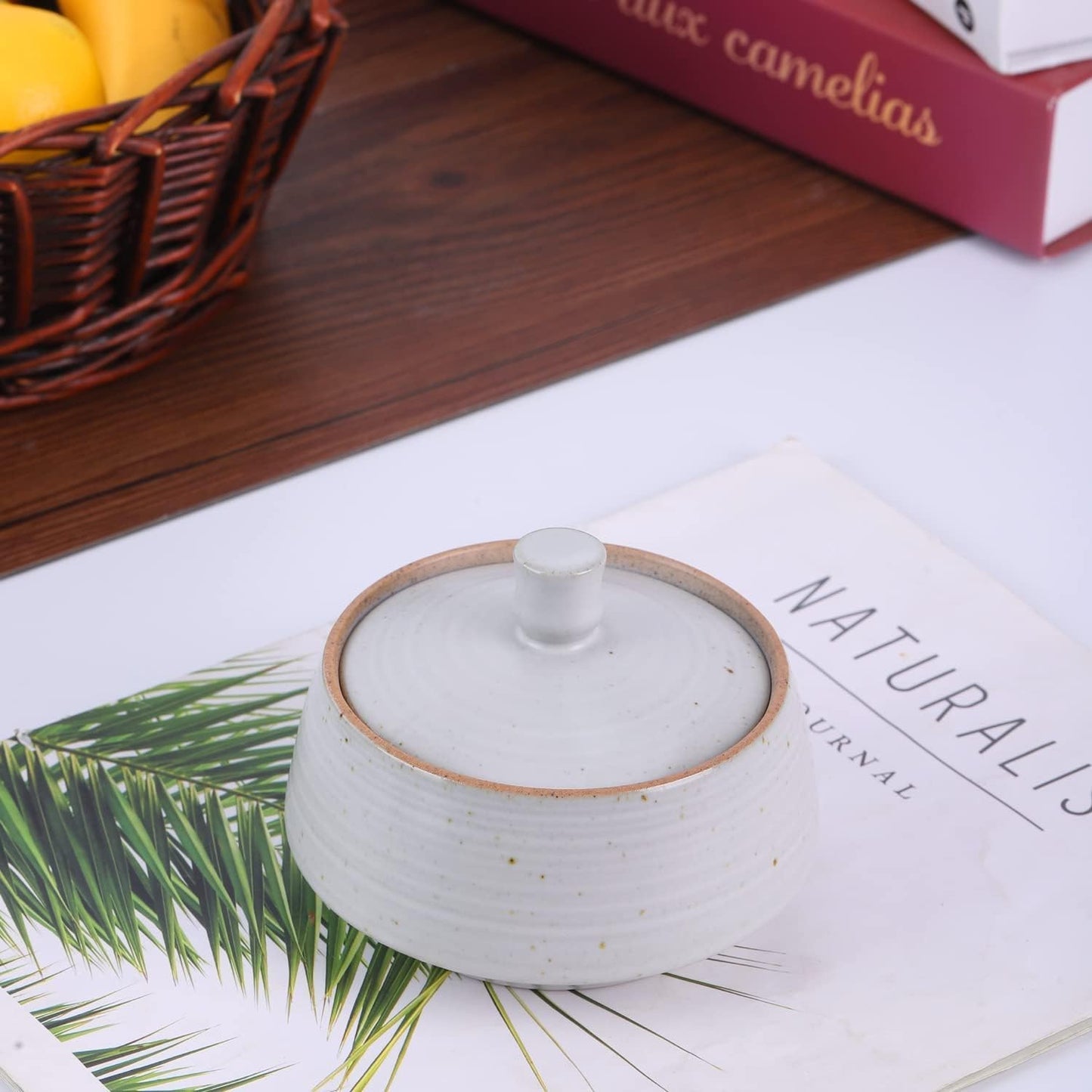 Retro Kitchen Ceramic Canister, 13.53 FL OZ (400 ML) Vintage Food Storage Jar for Tea, Coffee Beans, Herb, Candy, Spices, Nuts (White)