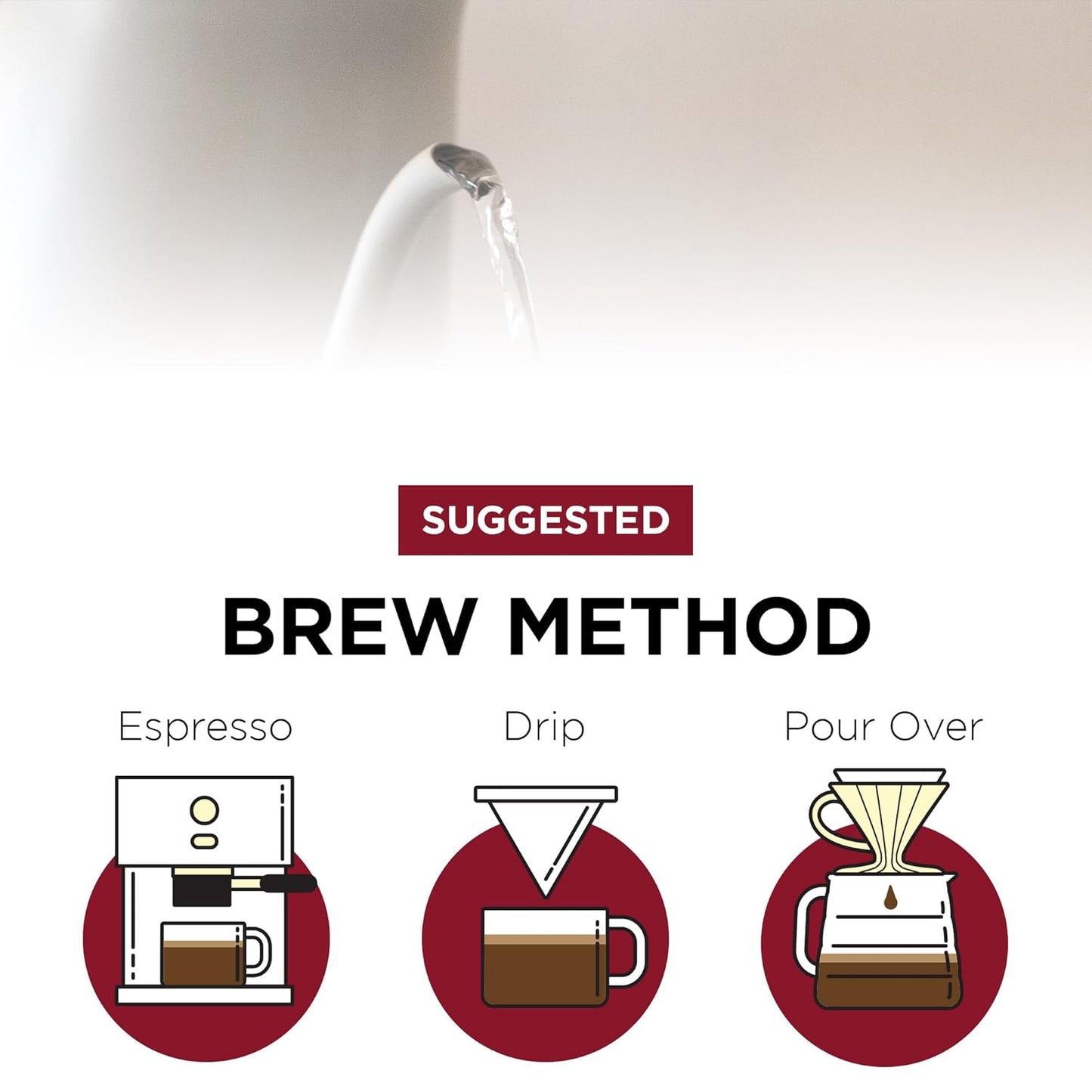 Fonte Coffee Roaster - French Press Coffee - Medium-Dark Fresh Roast - Roasted in Seattle - Single Origin - Bright Lemon, Earthy Peat, Bittersweet Chocolate - 12 oz - First Avenue