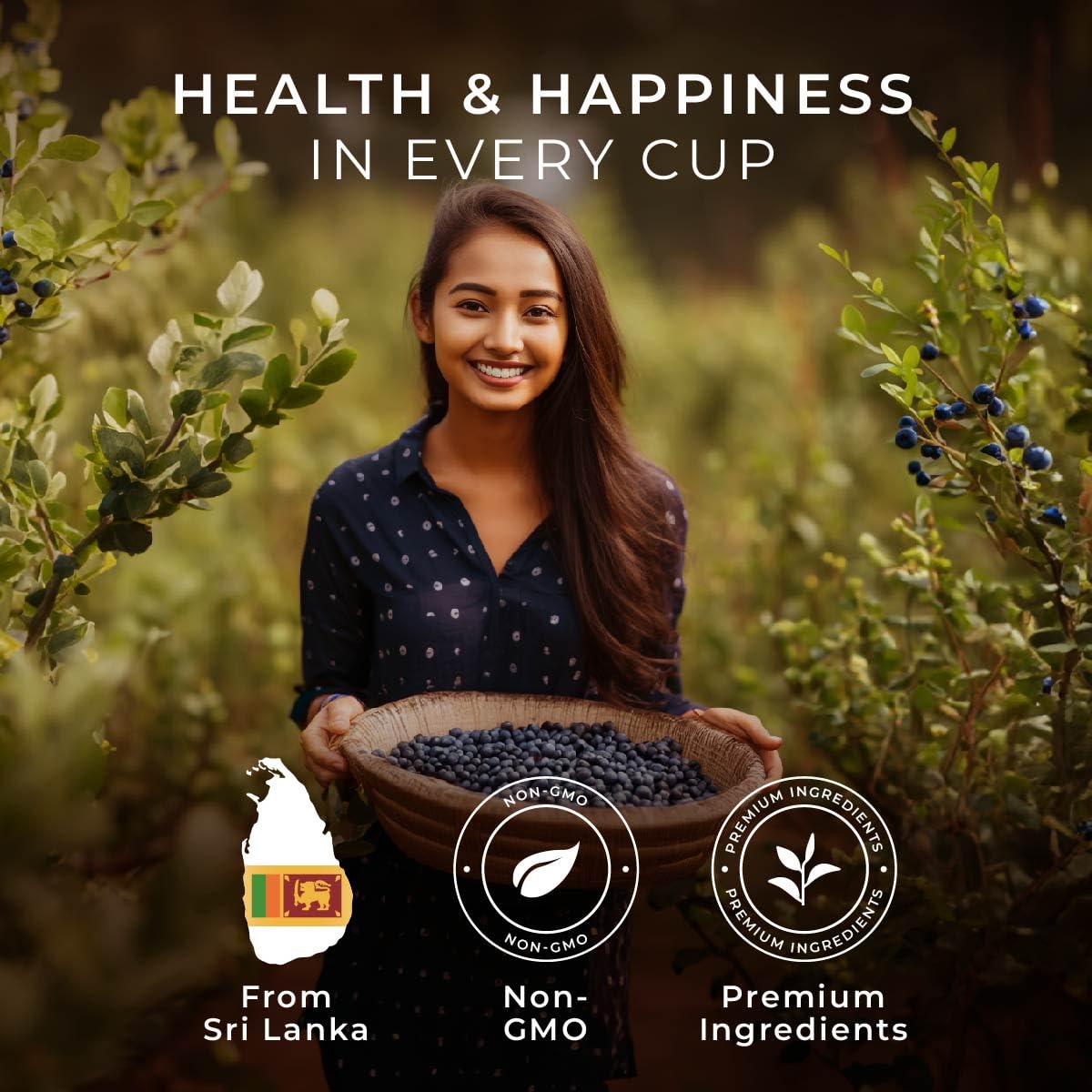 Gya Tea Co Berry Paradise Black Tea Pod (16 ct) - High Caffeinated Smooth Tea with Fruity & Sweet for Refreshed & Energy