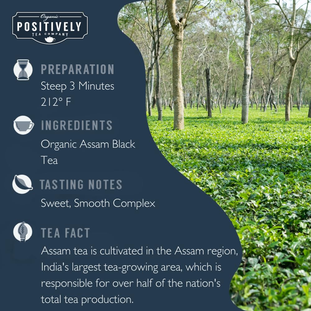 Organic Positively Tea Company, Indian Tea Sampler, Loose Leaf, 4 Ounce, 3 Pack