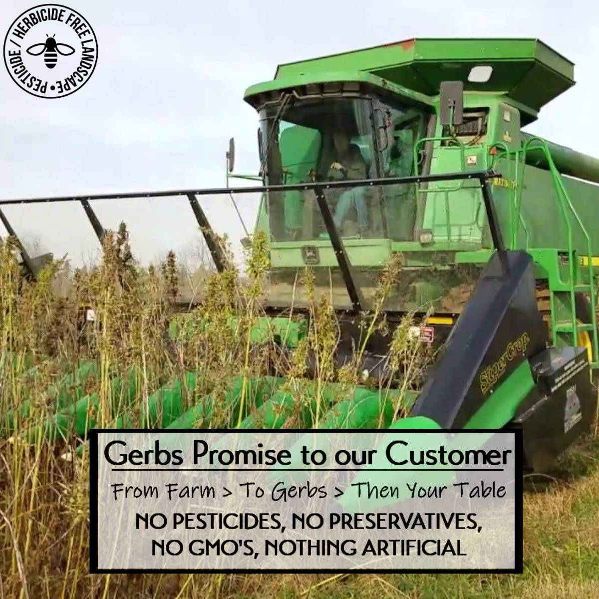 Gerbs Pumpkin Seed Meal 2 lbs. | Finely Ground, No Additives, Resealable Bag | Rich, Earthy Texture for Baking & Blending | Top 14 Allergen-Free