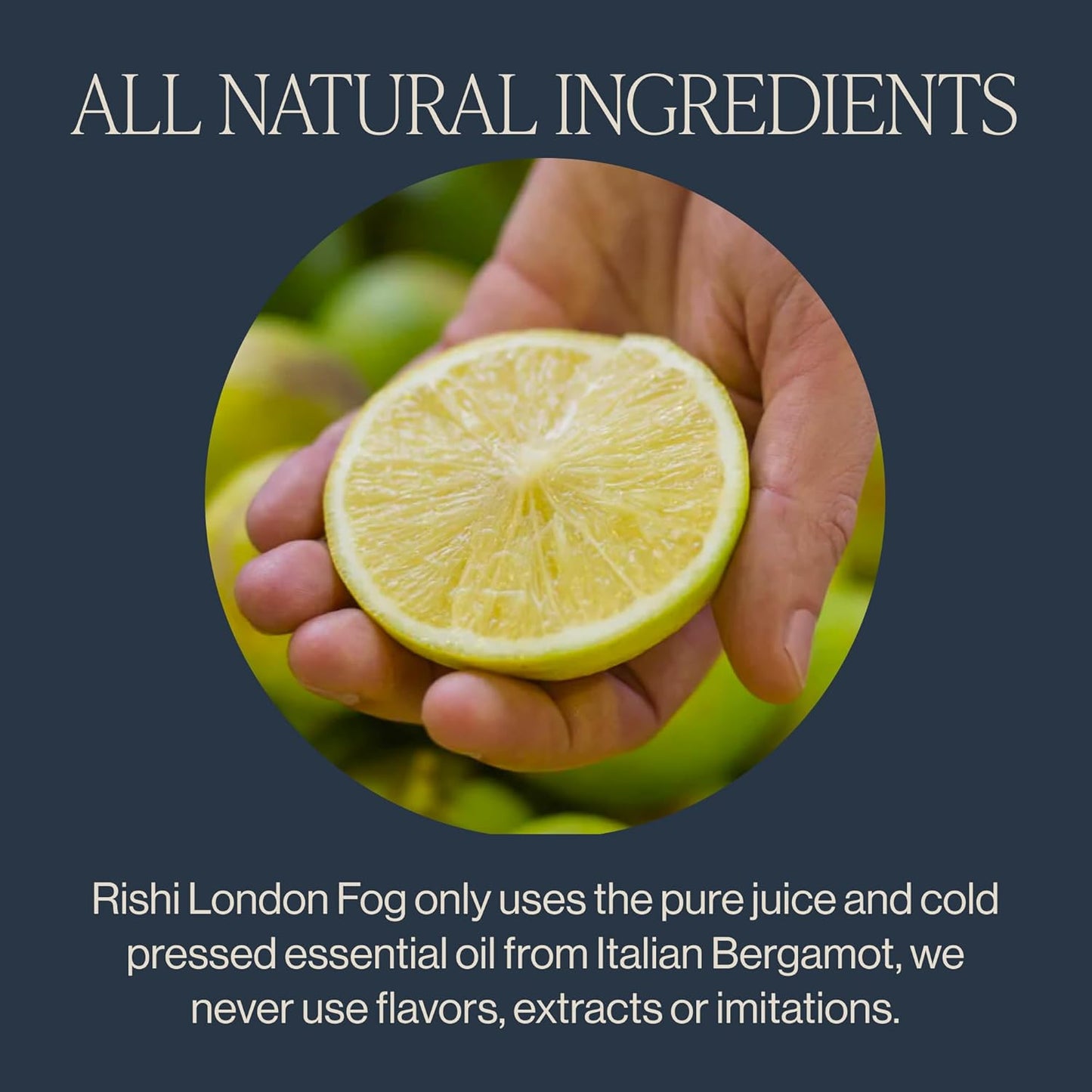 Rishi Tea London Fog Latte - Organic Black Tea Concentrate with Bergamot, Easy-to-Serve Hot or Iced Earl Grey Mix - 32 fl oz Carton, 8 Servings (Pack of 12)