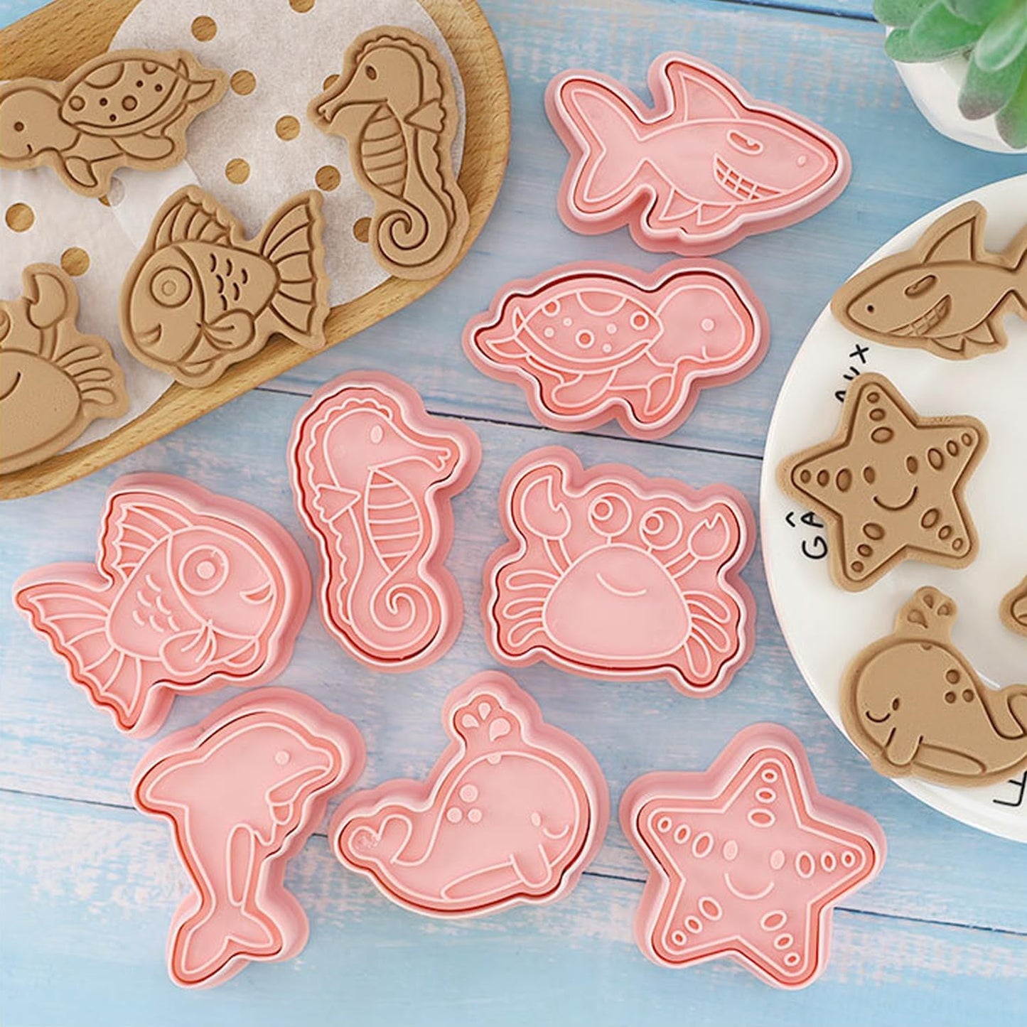 16Pcs Ocean Animal Cookie Cutters with Plunger Stamps Set, Fish, Dolphin, Starfish Plastic Biscuit Cutters, Sea Themed DIY Embossing Cutter for Biscuit Cookie Fondant Cheese Baking (F16)