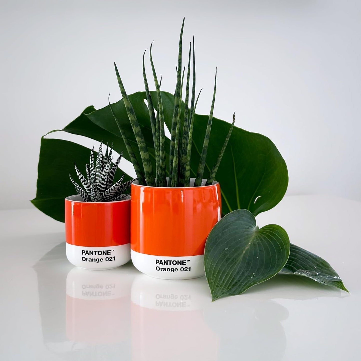 Copenhagen Design Pantone Macchiato Cup - Coffee, Latte, Macchiato Mug - 3.34oz/100ml, Yellow 012