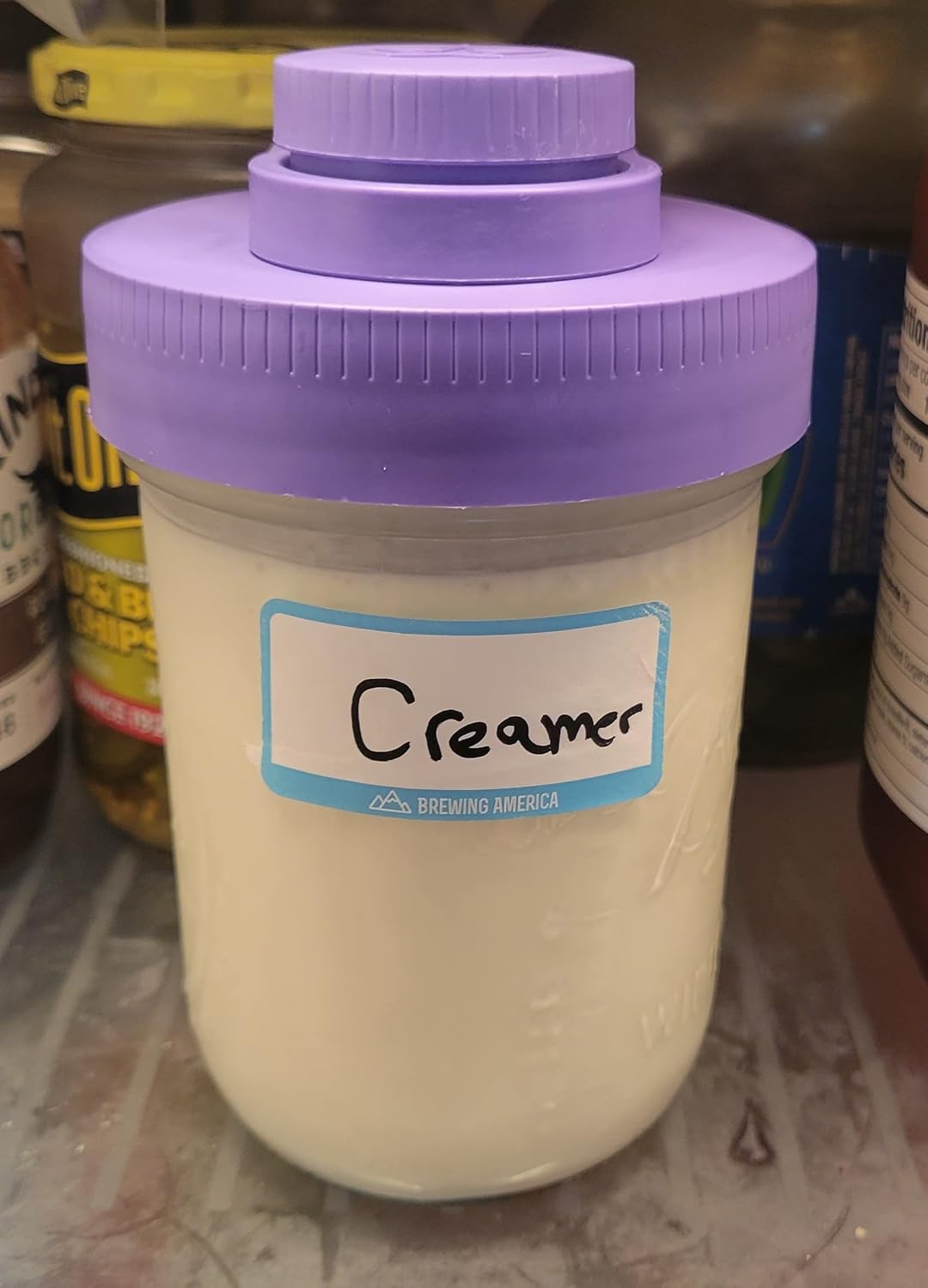 Brewing America Creamer Jar with Pouring Lid, 1 Pint (16 oz) Mason Jar with Purple Wide Mouth Pour Lid, for Milk, Sugar, and Cream, 1-Pack (Violet Purple)