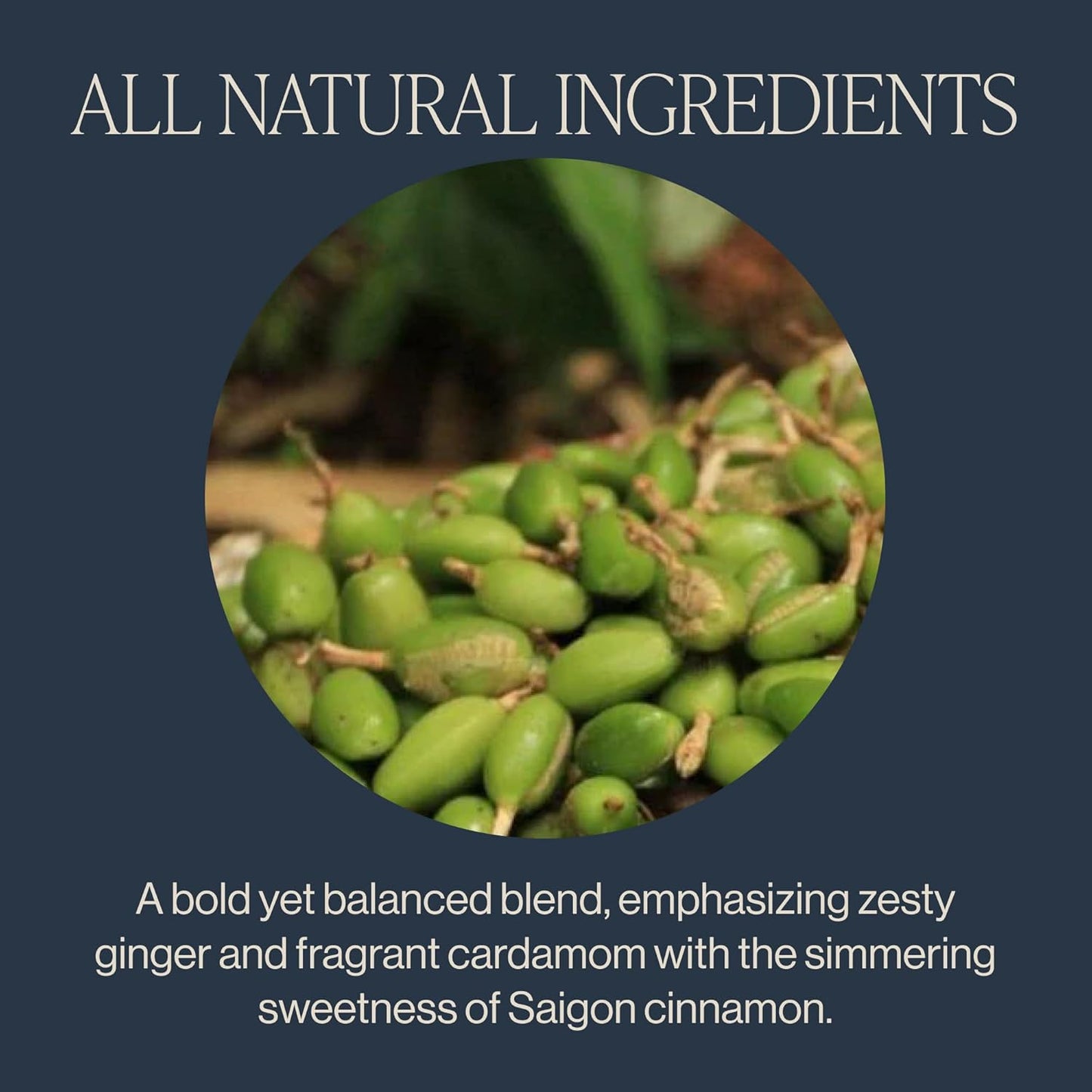 Rishi Tea Masala Chai Tea - Organic Sachet Tea Bags, Assam Black Tea Blend with Whole Spices, Energizing & Caffeinated - 15 Count (Pack of 6)