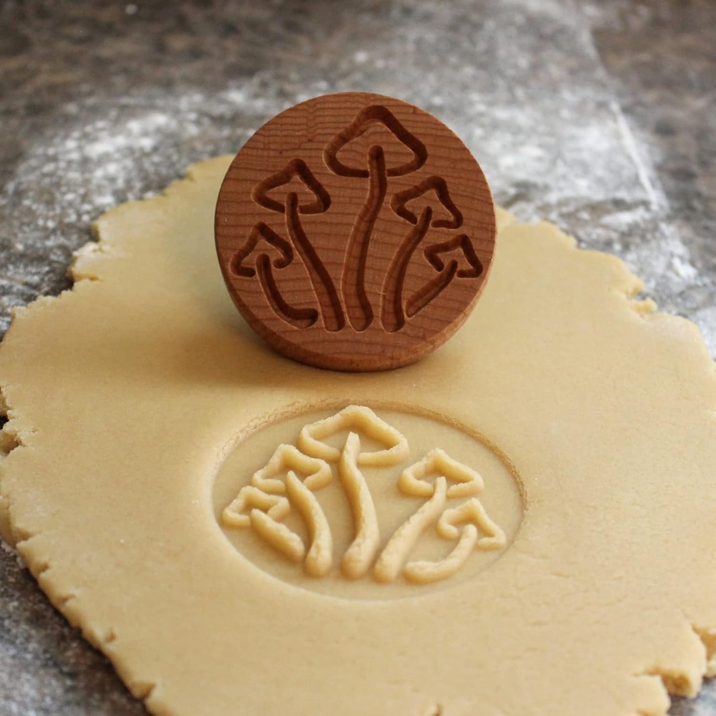 Wood Cookie Stamp, 2.5 Inch (Mushrooms CS-066)