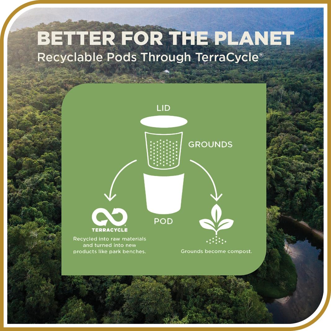 Don Francisco's Organic Mayan Blend Coffee - 12 K-Cup Compatible Single-Serve Pods - 100% Arabica - Bold Flavor with Floral Aroma and Chocolate Hints - Compatible with Keurig Brewers