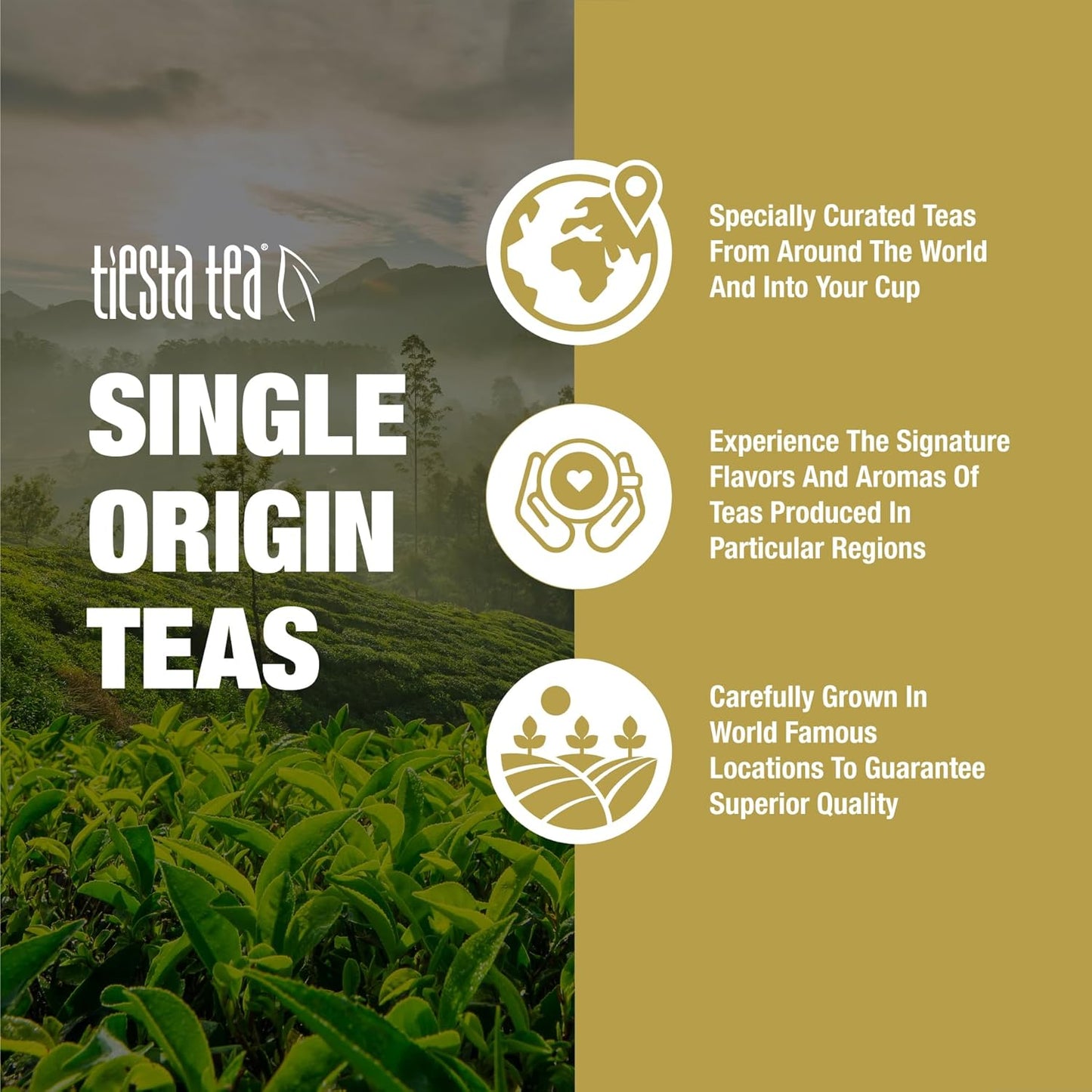 Tiesta Tea - Ceylon Orange Pekoe Black Tea, Loose Leaf, Single Origin Premium from Sri Lanka, Pure Unblended High Caffeinated, Hot or Iced & Brews Up to 200 Cups, 16oz Resealable Bulk Pouch