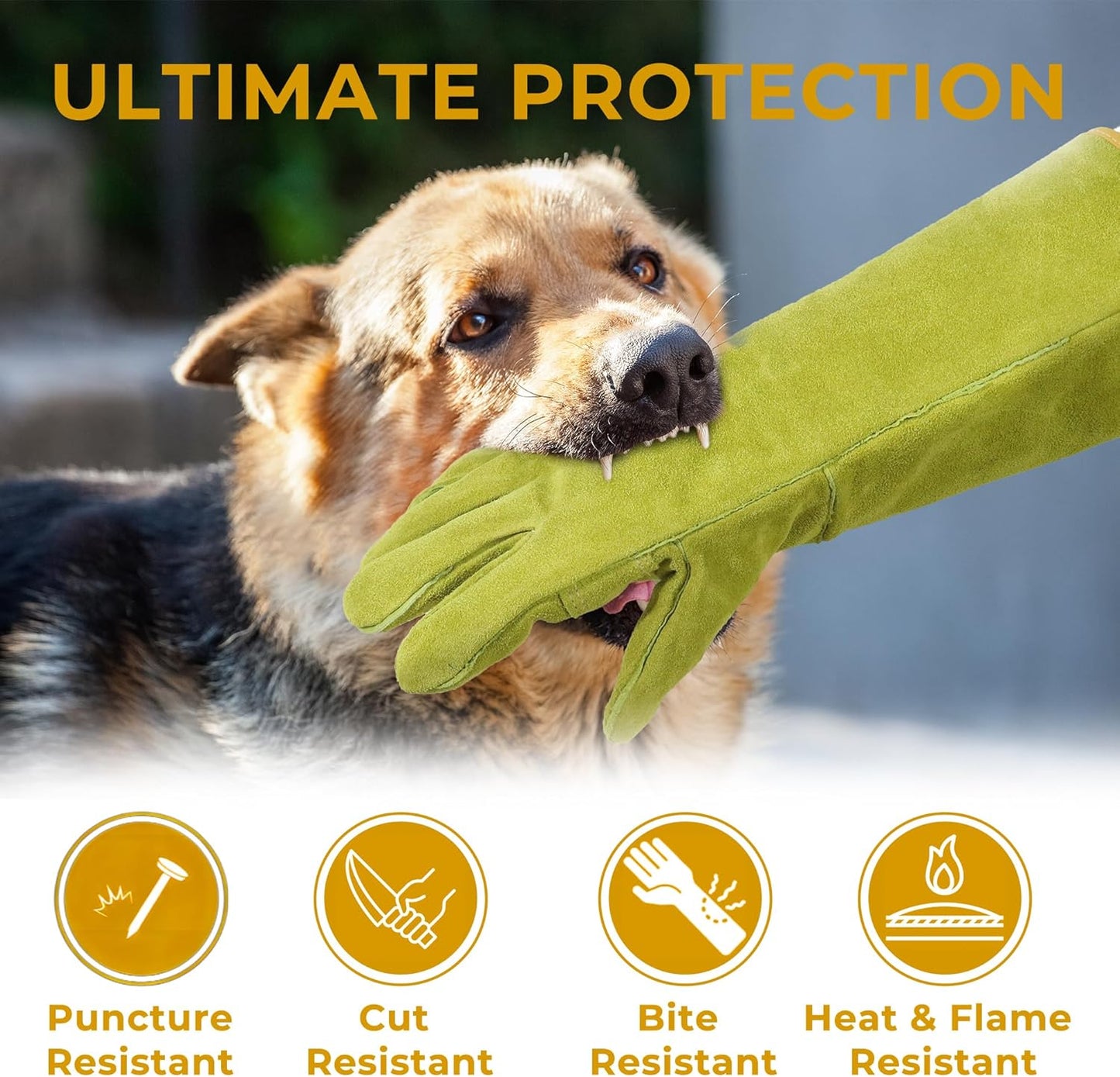 HANDLANDY Animal Handling Gloves, Bite Proof Cat Gloves, Ideal for Rose Pruning, Gardening, Falconry, Pet Grooming (Ginger yellow, 16 Inches)