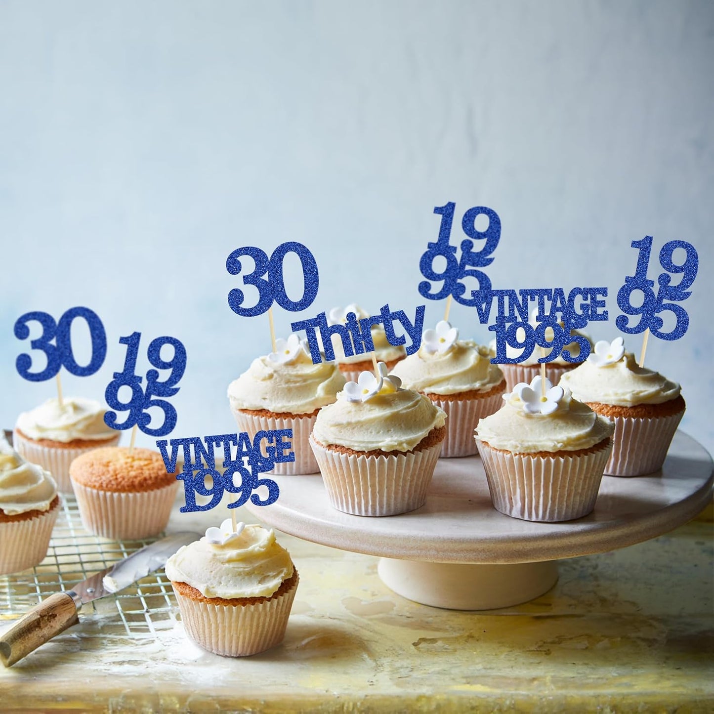 Gyufise 24Pcs Vintage 1995 Cupcake Toppers Cheers to 30 Fabulous Thirty Cupcake Picks Decorations for 30th Birthday Wedding Anniversary Party Supplies Deep Blue