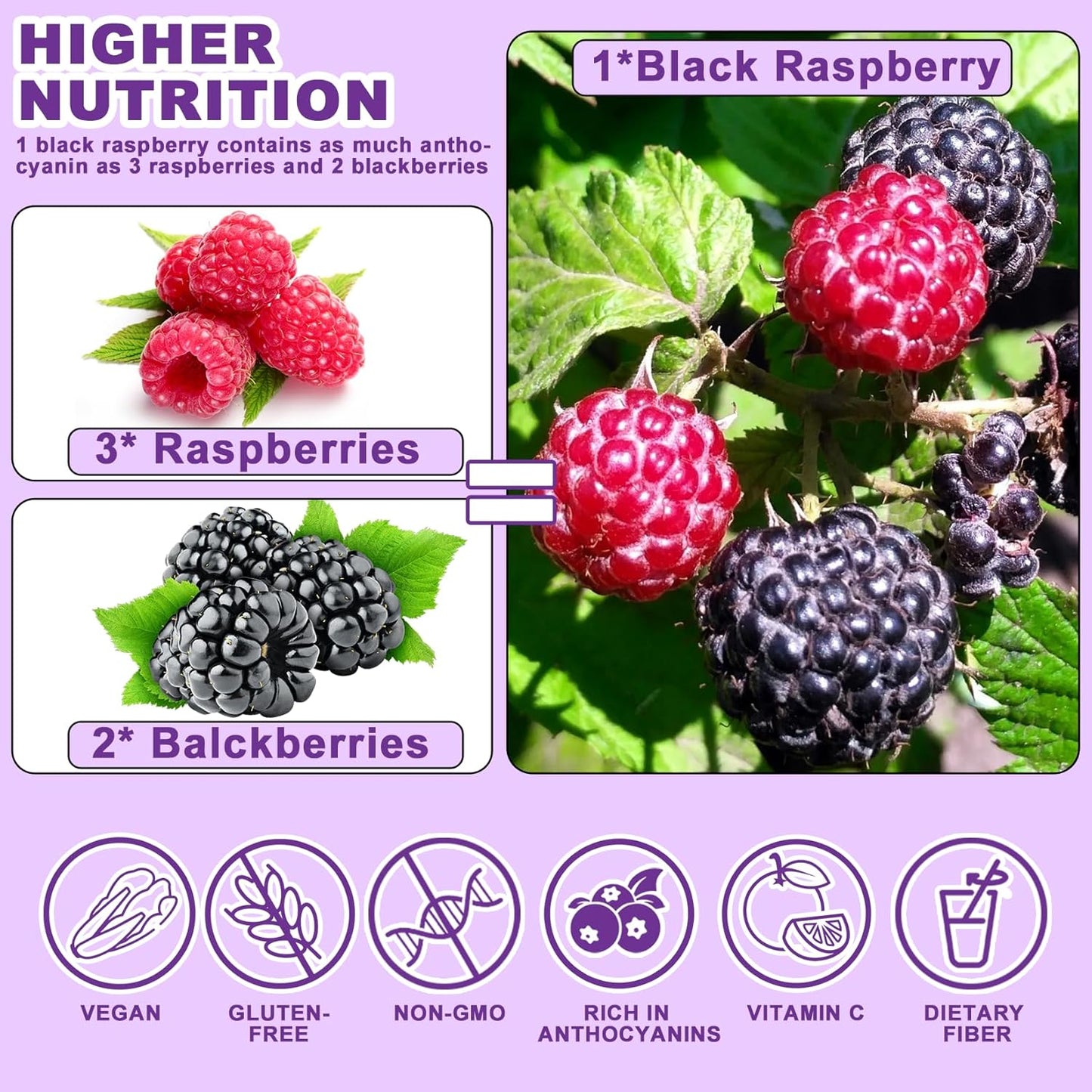 Freeze Dried Black Raspberry Powder - 180g Super Fruit Powder, 100% Black Raspberry Extract, No Additive, No Artifical Sugar Non-GMO Natural Food Coloring for Baking, Smoothies, Yogurt