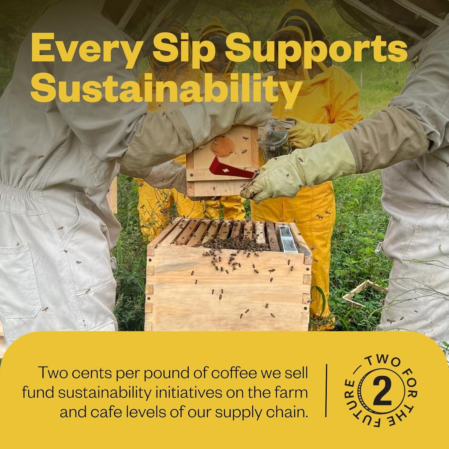 Counter Culture Coffee - Whole Bean Coffee - Freshly Roasted Coffee Beans - Premium Coffee - Multiple Flavors - One 12 Ounce Bag of Each (Fast Forward)