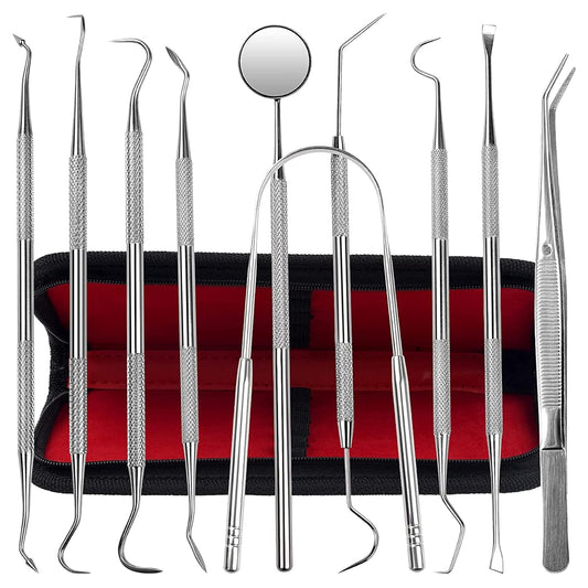 Dental Kit Tools, 10 Pack Stainless Steel Plaque Remover, Dental Tools to Remove Plaque and Tartar, Oral Care Kit with Plaque Cleaner, Tartar Pick, Tooth & Tongue Scraper for Dentist, Personal, Family