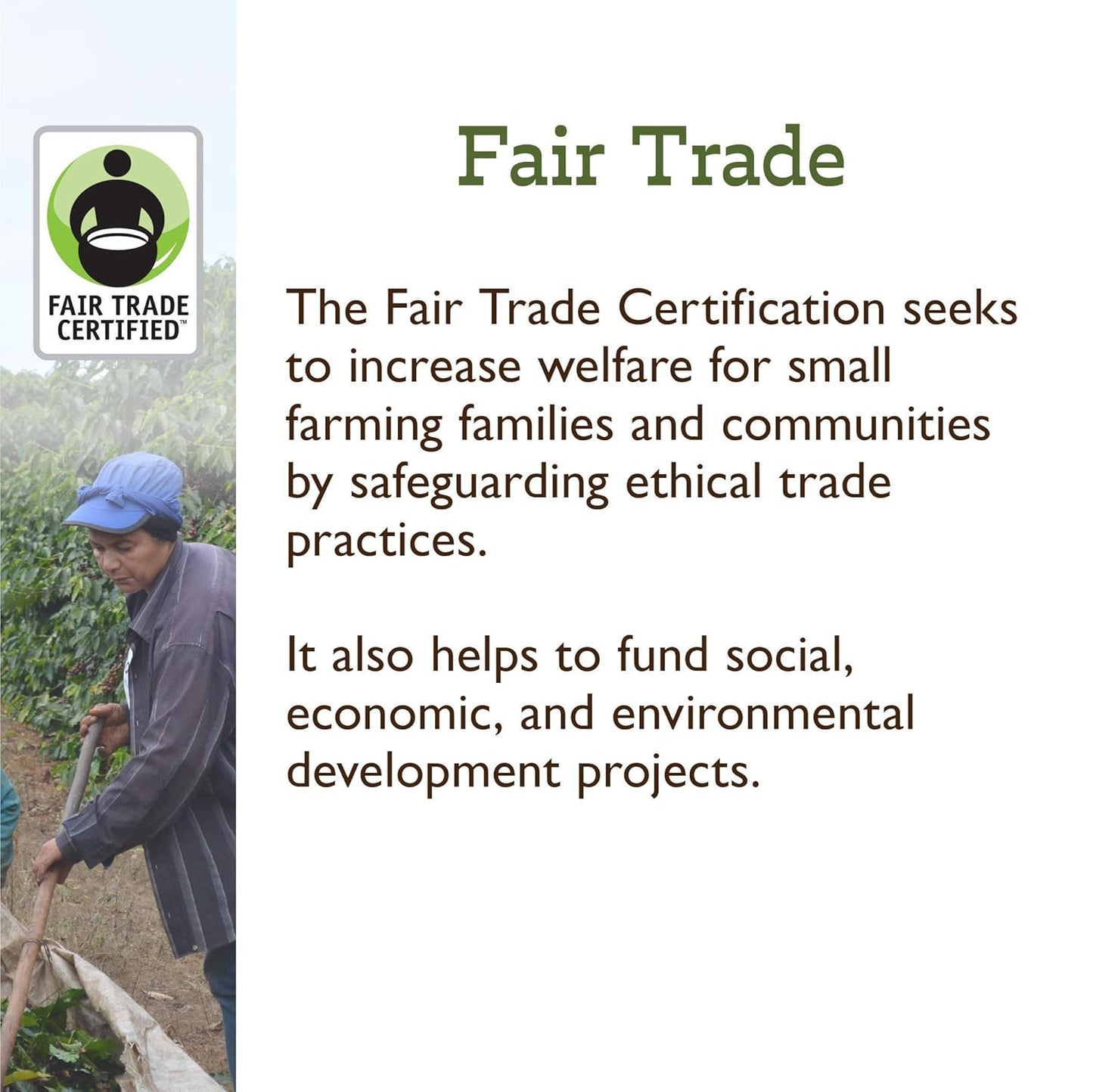 Fresh Roasted Coffee, Organic White Knight | USDA Organic, Kosher | Light Roast 5 lb (80 oz), Ground