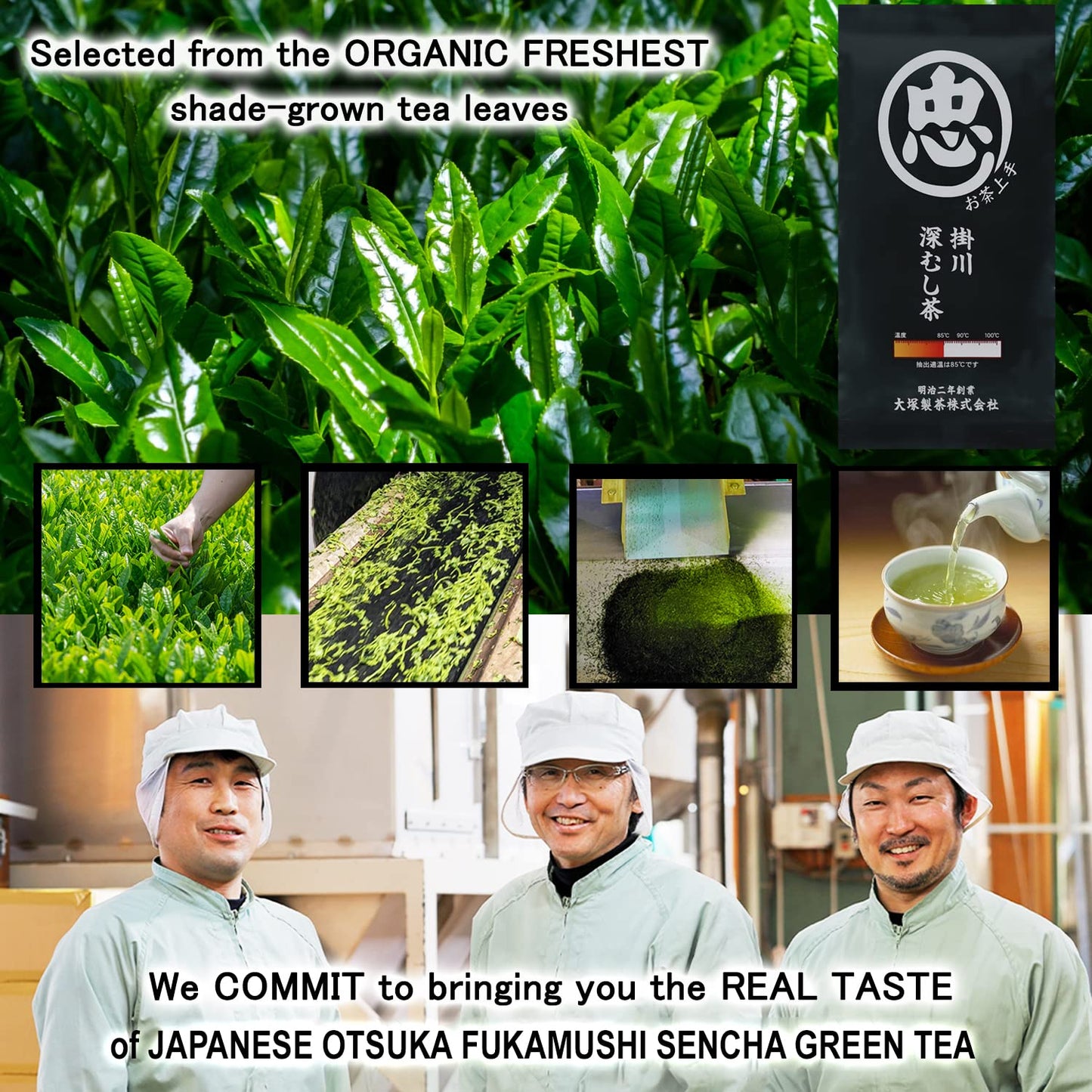 Otsuka Green Tea Co - Fukamushi Sencha Green Tea - Loose Leaf Green Tea - Direct Imported From Japan (Black - 100g)