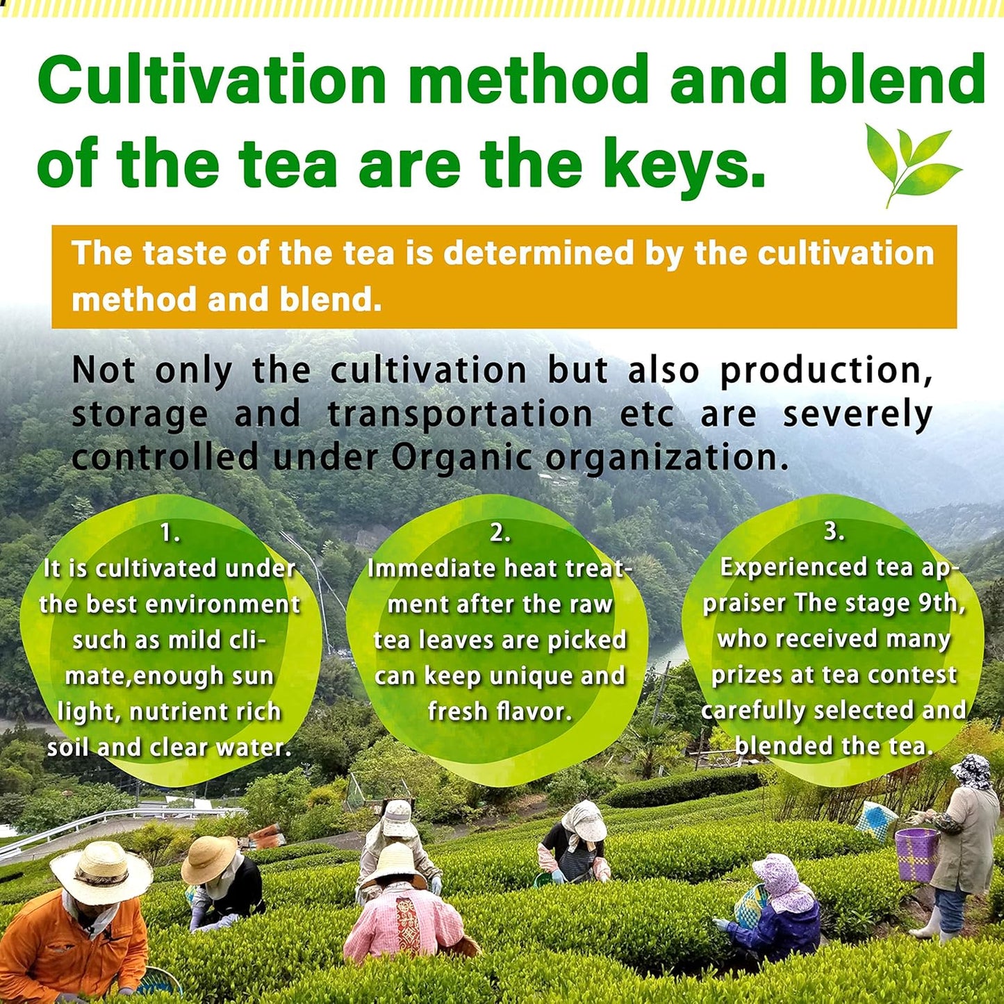 chaganju Organic Green Tea, Kukicha Twig tea with Matcha Green Tea Powder, Japanese Tea -KARIGANE- 100g Bag【YAMASAN】